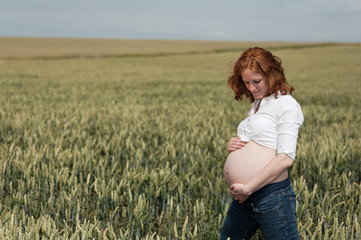 schwanger Frau im getreide Feld 4