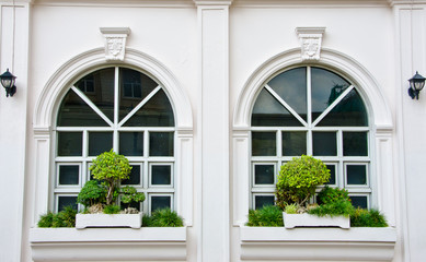 Two White window