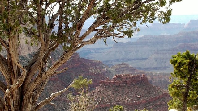 Grand Canyon. Arizona. USA