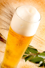 Birra alla spina