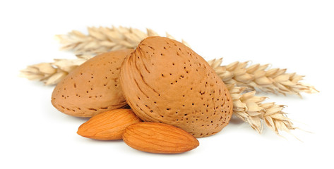 almonds with wheat