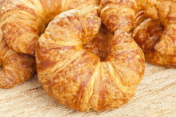Freshly Baked Croissant