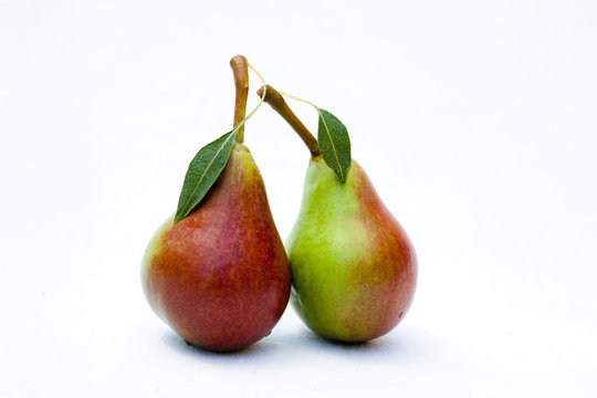 Two ripe pears with the Leaf