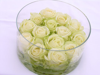 Weiße Rosen