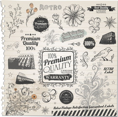 calligraphic design elements and page decoration