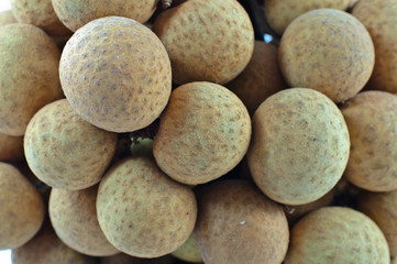 longan traditional fruit on a white background