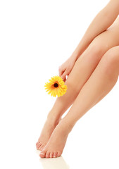 Beautiful woman legs , isolated on white background