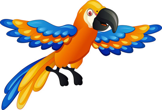 funny macaw bird cartoon