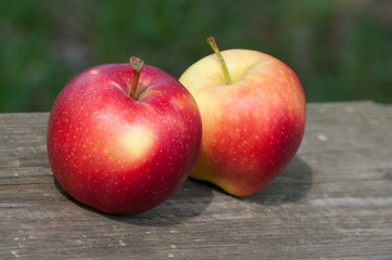 two delicious apples