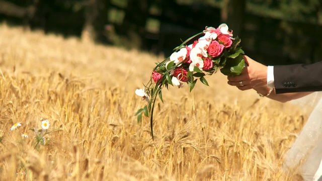 Brautpaar im Kornfeld