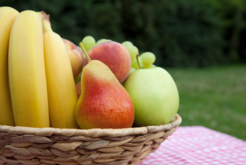 Obstkorb V
