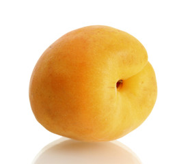 ripe sweet apricot isolated on white