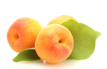 ripe sweet apricots with green leaves isolated on white