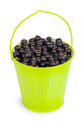 Black currant in metal bucket isolated on white
