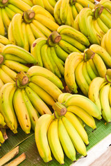 Rows of Yellow bananas in market