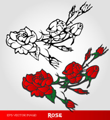 eps Vector image: Rose