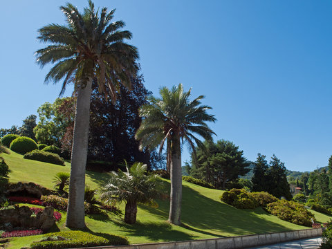 Beautiful mediterranean garden of villa Melzi, Bellagio Italy