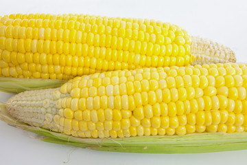 fresh corn vegetable
