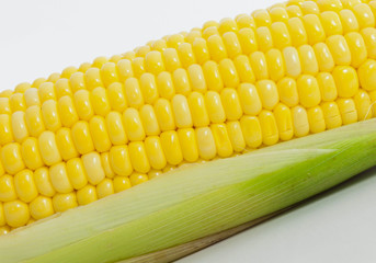 fresh corn vegetable
