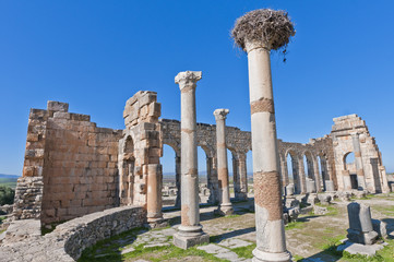 Fototapeta premium Forum at Volubilis, Morocco