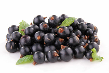 isolated blackcurrant