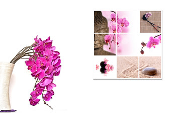 Bouquet et tableau orchidée rose