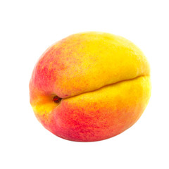 One apricot