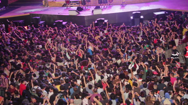 Crowd at concert