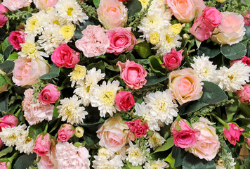 colorful flowers background