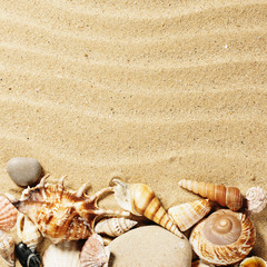 Obraz premium coquillages et sable