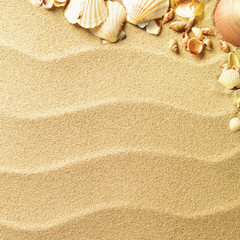 Fototapeta na wymiar sable et coquillages