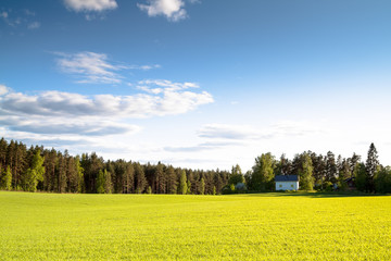 The house on a green field in a sunny day