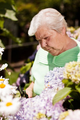 Seniorin mit Gartenschere beim Blumen schneiden