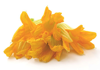Fototapeta premium Fiori di zucca - Zucchini flowers