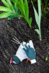 Small garden rake with gloves