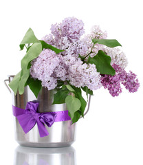 beautiful lilac flowers in metal bucket isolated on white