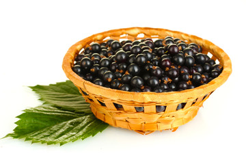 Fresh black currant in wicker basket isolated on white