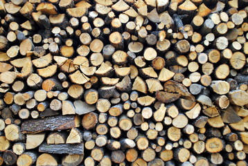 wood, logs and splitted trunks, useful as background