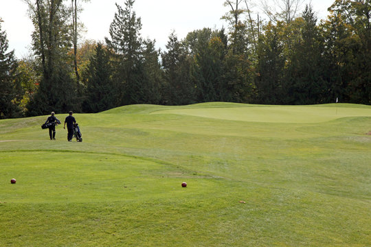 Golf Course - Luxury International Standard