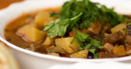 Close up of soup lagman decorated with greens