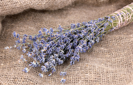 Lavender flowers on sackcloth