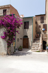 Fototapeta na wymiar Old House At Capraia