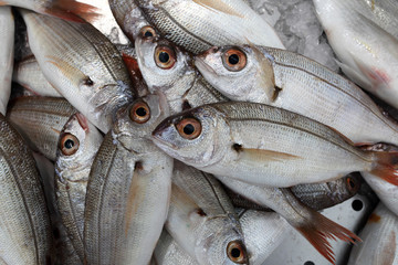 Closeup of fresh fish on market