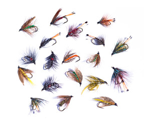 assorted fishing flies on a white background