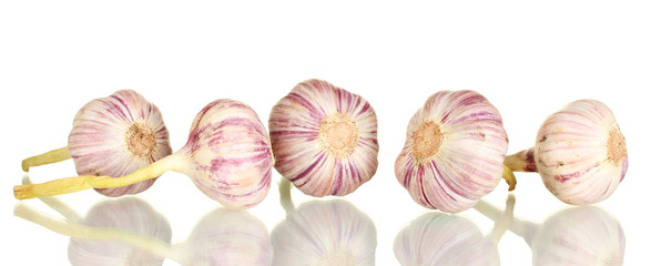 young garlic isolated on white background