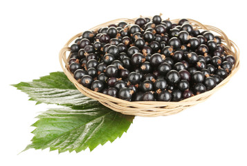 Fresh black currant in wicker basket isolated on white