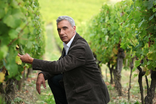 Man Crouching Down In A Vineyard