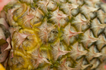 Fototapeta premium pineapple