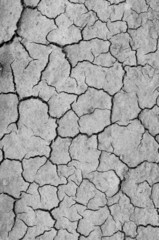 Dry, cracked soil background