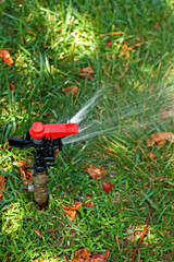 Automated garden lawn sprinkler